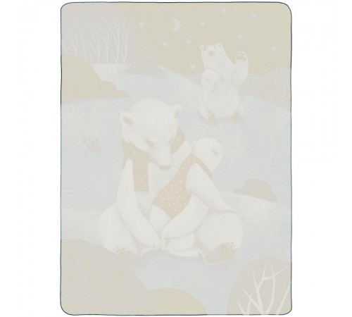 Флисовый плед Wintart Bear
