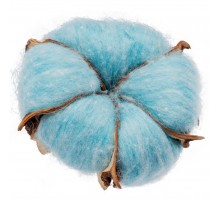 Цветок хлопка Cotton, голубой