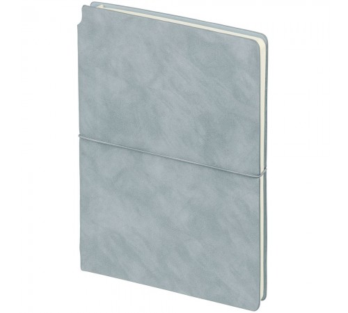 Ежедневник Kuka, недатированный, серый