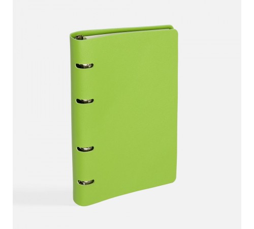 Ежедневник Ringo, недатированный, зеленый