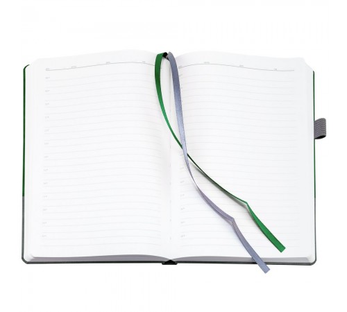 Ежедневник Horizon, недатированный, серый с зеленым