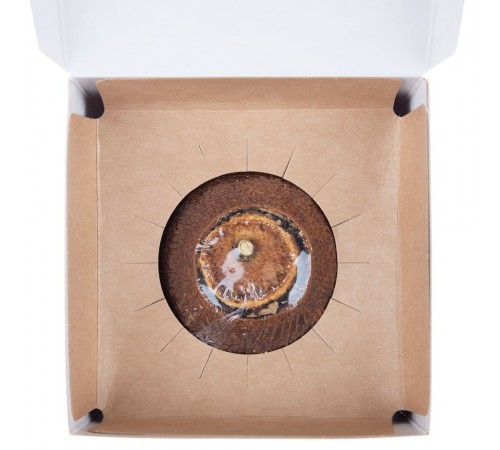 Черный чай Citrus в апельсине с маслом лайма