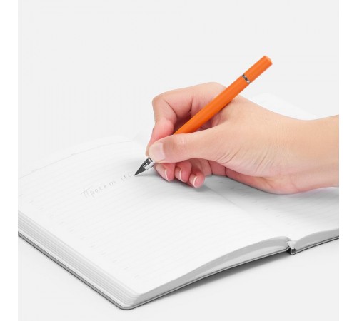 Ручка шариковая и вечный карандаш Diptych, оранжевая