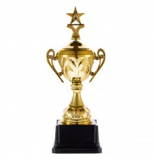 Кубок Top Star, золотистый