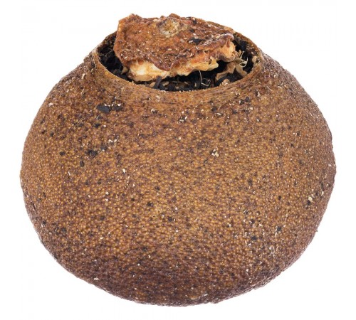 Черный чай Citrus в апельсине с маслом лайма