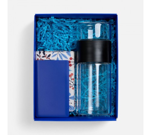 Набор Invigo, синий