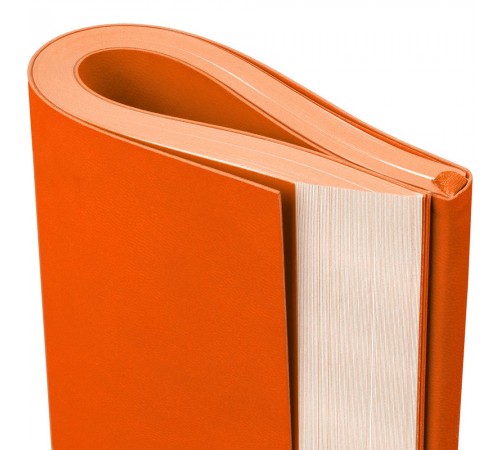 Ежедневник Flat Maxi, недатированный, оранжевый