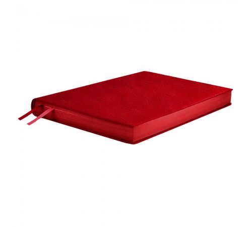 Ежедневник Merida, датированный, красный