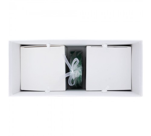 Набор FestiviTea, зеленый