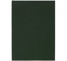 Ежедневник Flat Light, недатированный, зеленый
