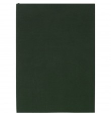 Ежедневник Flat Light, недатированный, зеленый