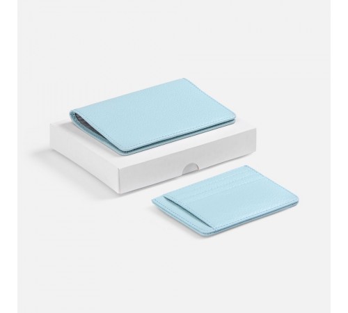 Набор Unison Mini, голубой