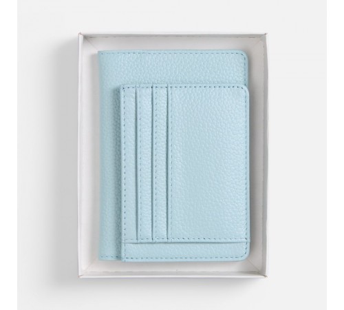 Набор Unison Mini, голубой