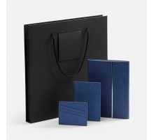 Набор Petrus Flap, синий