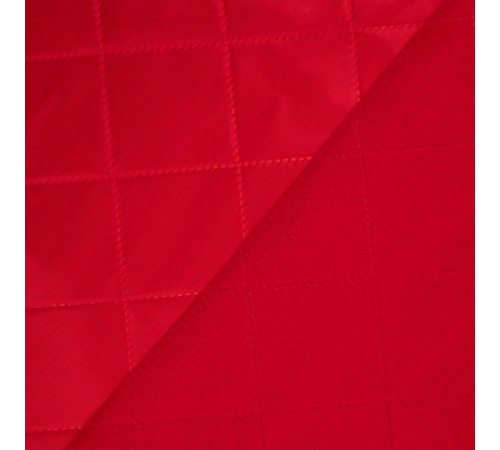 Плед для пикника Soft & Dry 2, красный