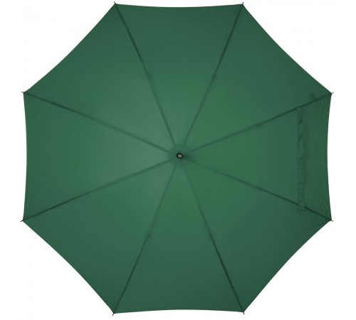 Зонт-трость LockWood, зеленый