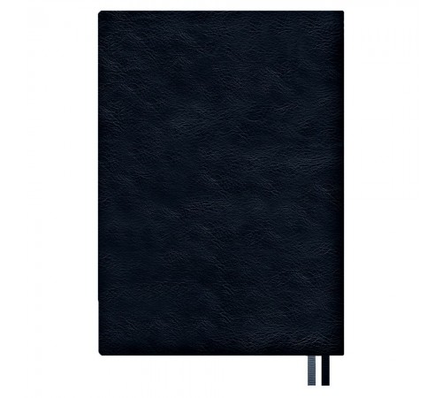 Ежедневник Merida, датированный, синий
