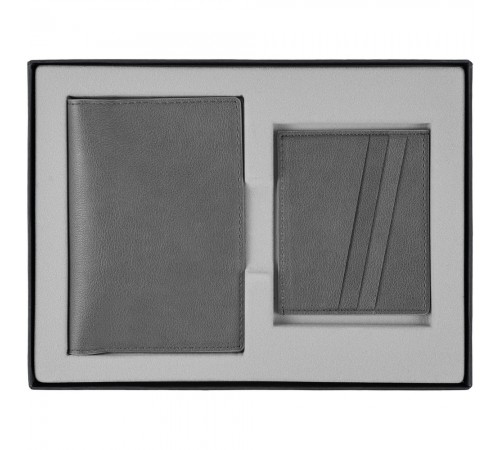 Набор Petrus Mini, серый