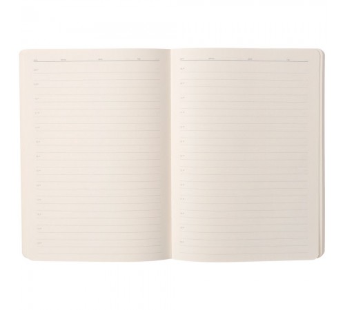 Ежедневник Eco Write, недатированный