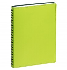 Ежедневник Spring Shall, недатированный, зеленый