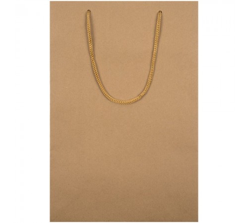 Пакет бумажный Plat M, крафт