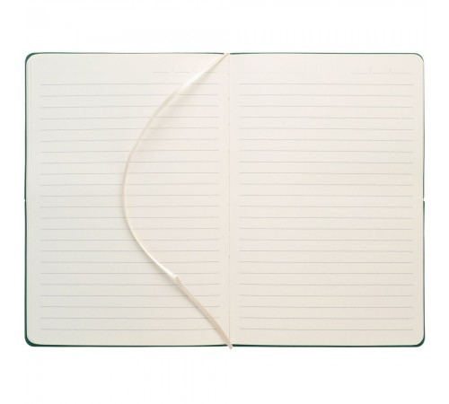 Ежедневник Kuka, недатированный, зеленый