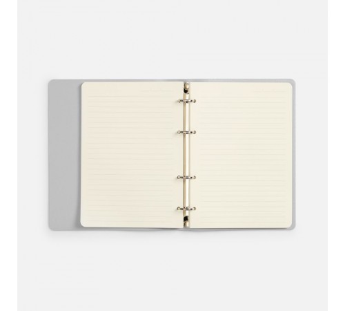 Ежедневник Ringo, недатированный, серебристый