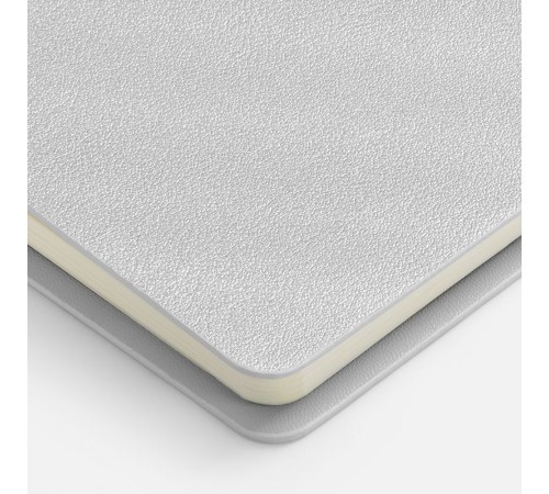 Ежедневник Ringo, недатированный, серебристый