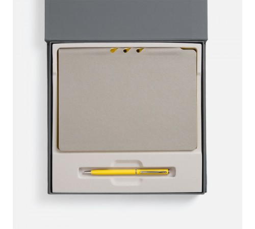 Набор Flexpen Grey, желтый